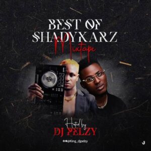 DJ Pelzy — Best of Shadykarz Mix