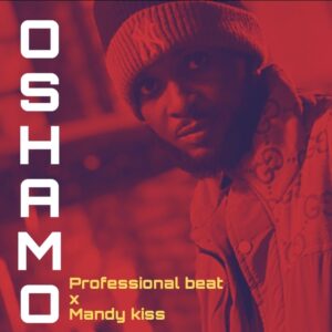 Professional Beat – Oshamo (Mandykiss)