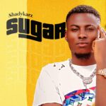 Shadykarz – Sugar