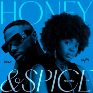 Toby Grey & Wurld – Honey & Spice (Remix)