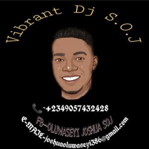 Vibrant DJ S.O.J – Best Of Yan Yan Mix