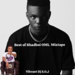 Vibrant DJ S.O.J – Best of Bhadboi OML (Vibez) Mix