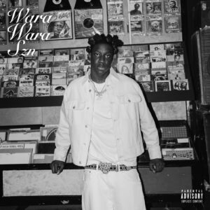 Zerrydl – Cash ft. Seyi Vibez