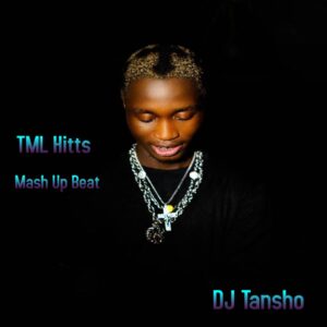 DJ Tansho – TML Vibez Hits Mash Up Dance Beat