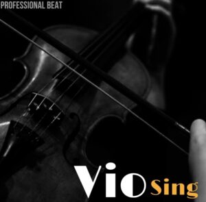 Professional Beat – Viosing