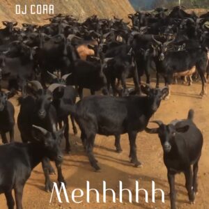 DJ Cora – Mehhhhh