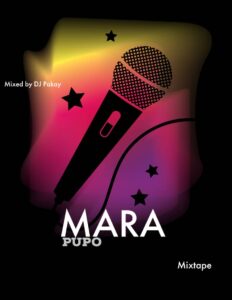 DJ Pakay – Mara Pupo Mix