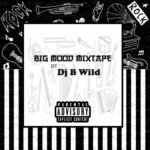 DJ B Wild – Big Mood Mix