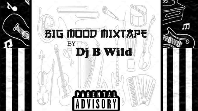 dj b wild big mood mix