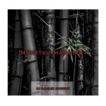 DJ Damlex Soundit – Immortals Mara Beat