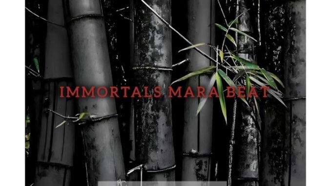 dj damlex soundit immortals mara beat dj damlex soundit immortals mara beat