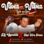 DJ Speeddo & Hype King Happy – Vibez On Vibez Hype Mixtape Season 1