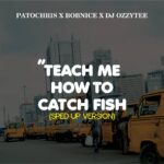 Patochris X Bobnice X DJ Ozzytee – Teach Me How To Catch Fish (Sped Up Version)