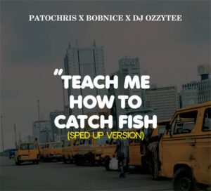 Patochris X Bobnice X DJ Ozzytee – Teach Me How To Catch Fish (Sped Up Version)