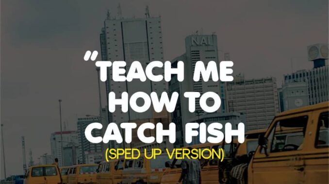 patochris x bobnice x dj ozzytee teach me how to catch fish (sped up version)