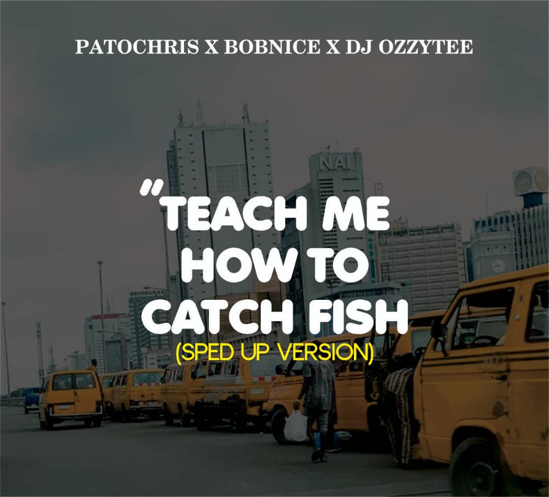 patochris x bobnice x dj ozzytee teach me how to catch fish (sped up version)