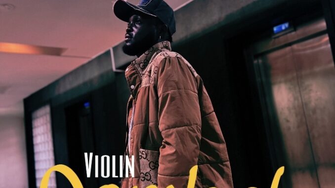 professional beat violin combat