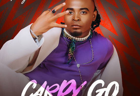 pryme carry go pryme carry go