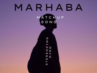stereo king dj md marhaba (mashup version)