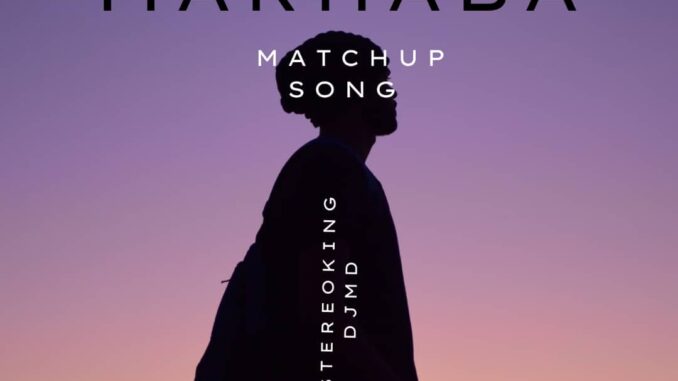 stereo king dj md marhaba (mashup version)