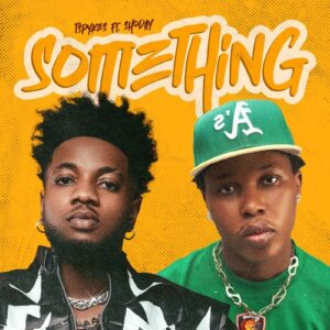 Tspykes ft. Shoday – Something Something (Remix)
