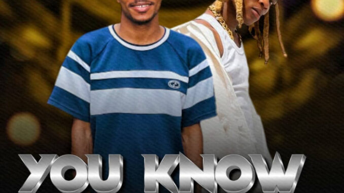 dj damlex soundit you know tee dollar dance beat dj damlex soundit you know tee dollar dance beat