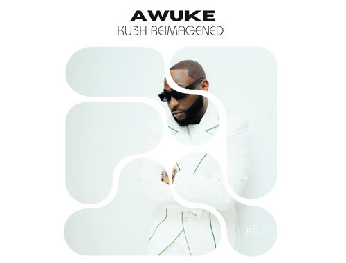 davido ft. yg marley awuke (ku3h reimagined) soulful