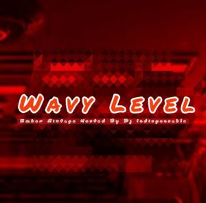 DJ Indispensable – Wavy Level Ember Mix