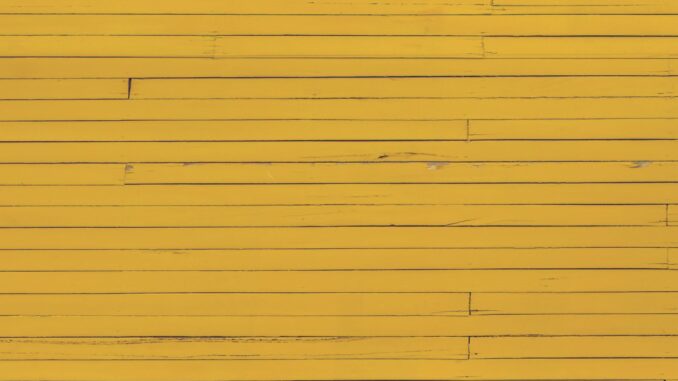 omo ebira joy iz coming