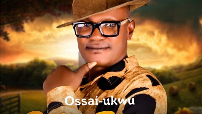 ossai ukwu baby suzanna