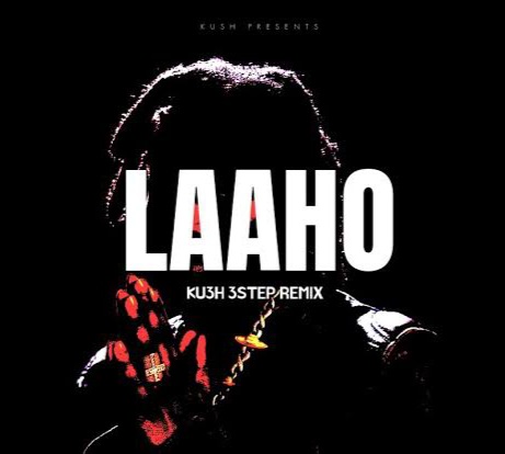 shallipopi laaho (ku3h 3step remix)