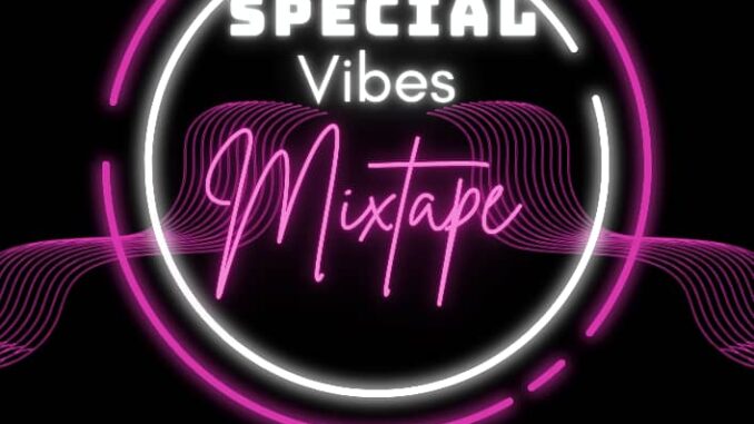 dj duzzy special vibes mix