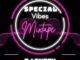 dj duzzy special vibes mix