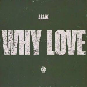 Asake – Why Love (Ku3h Revist)