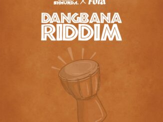 bella shmurda, fola dangbana riddim