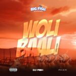 DJ Fish – Woli Baali (Afro Mara)