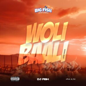 DJ Fish – Woli Baali (Afro Mara)