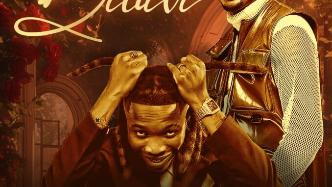 dj op dot ft. rybeena believe dj op dot ft. rybeena believe