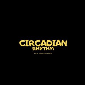 Drake – Circadian Rhythm [KU3H Amapiano Remix]