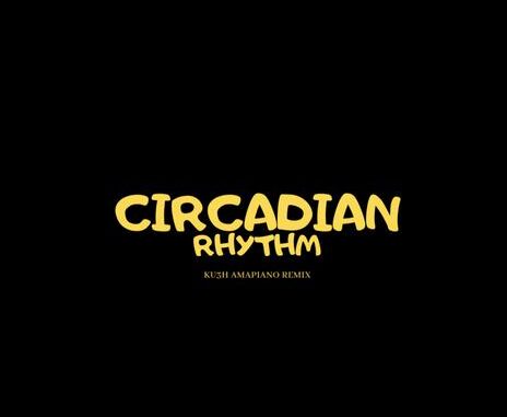 drake circadian rhythm [ku3h amapiano remix]