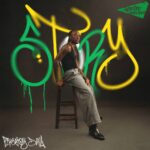 Fireboy DML & Take A Daytrip – Story