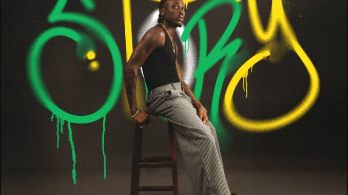 fireboy dml & take a daytrip story