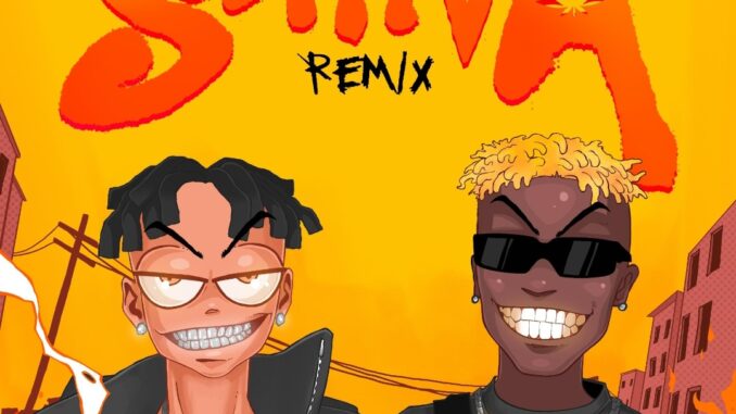 hydee flex & t dollar sativa (remix)