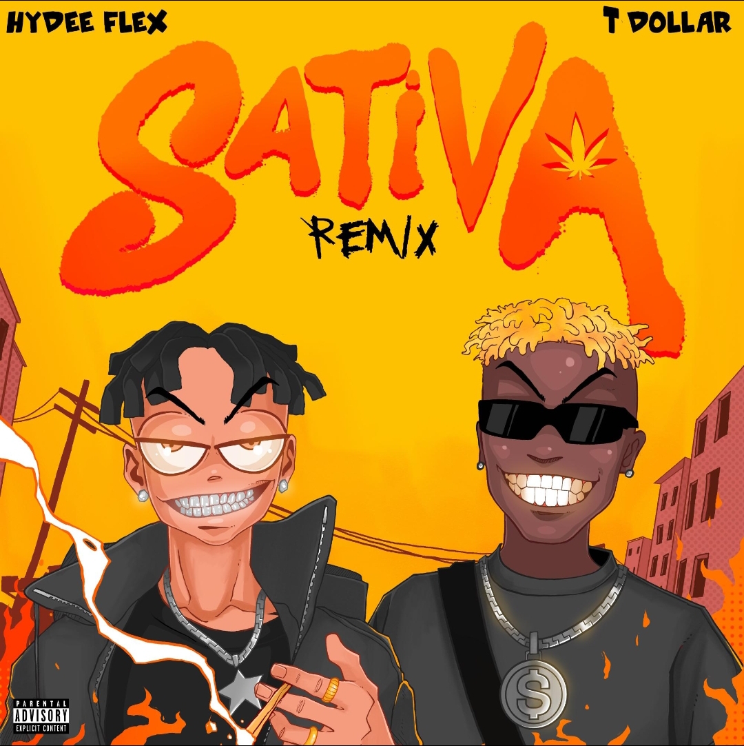 hydee flex & t dollar sativa (remix)