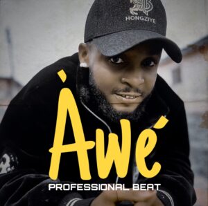 Professional Beat – Awe