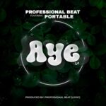 Professional Beat, Portable – Aye (2.0)