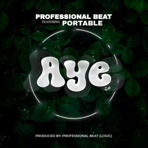 Professional Beat, Portable – Aye (2.0)