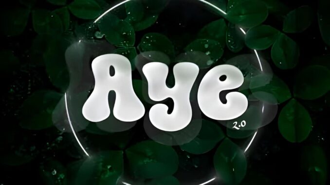 professional beat, portable aye (2.0) professional beat, portable aye (2.0)