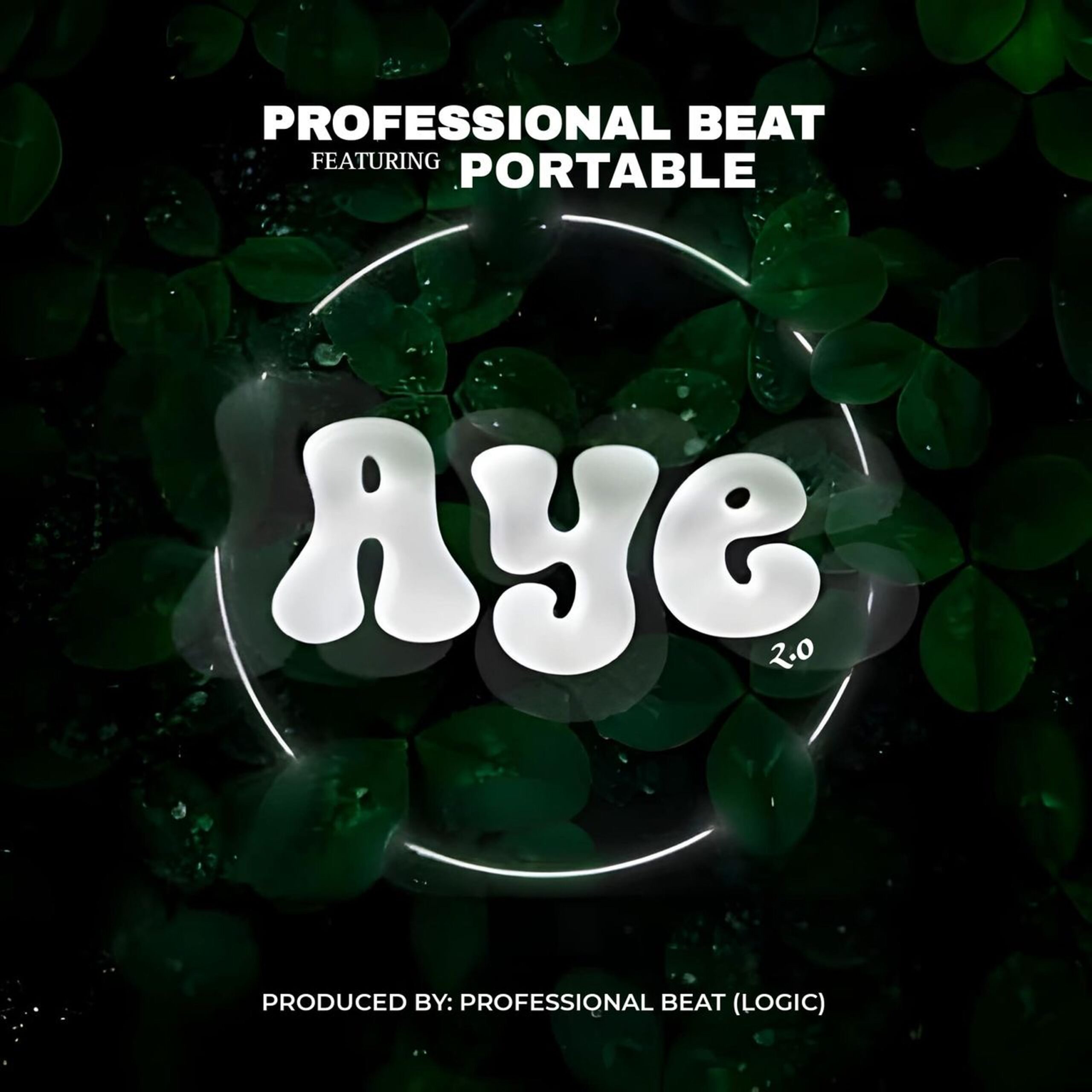 professional beat, portable aye (2.0)