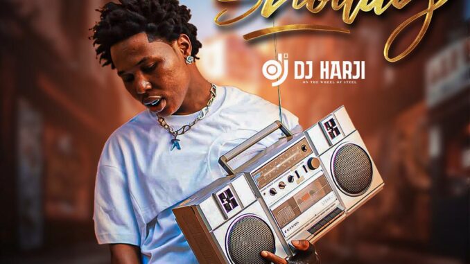 zagaempire x wf dj harji – best of shoday mix